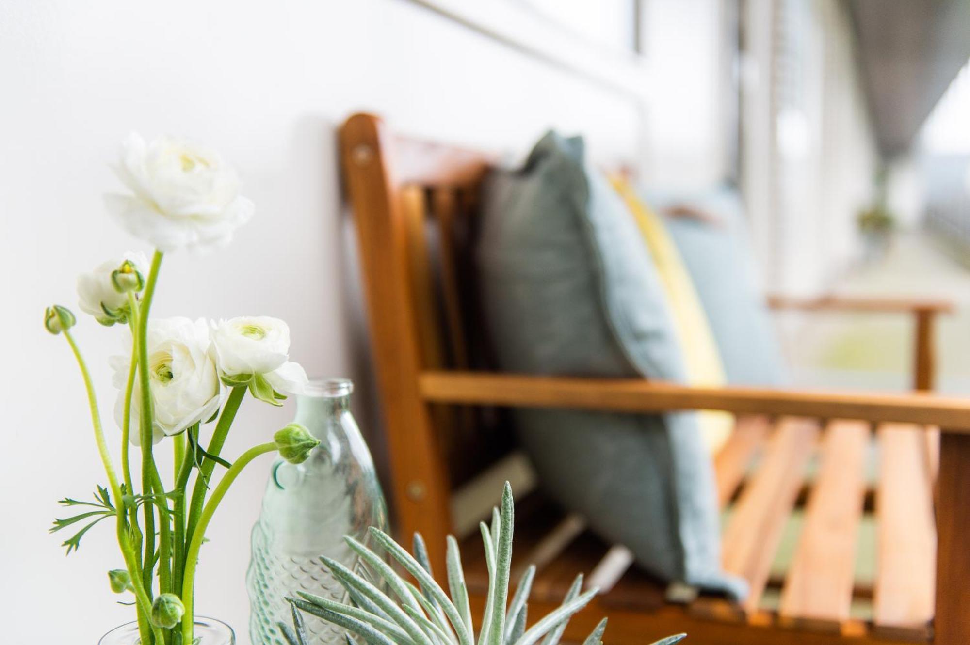 Appartement Zuyd 잔드보르트 외부 사진